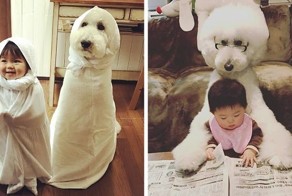 Невероятная дружба маленькой девочки и ее пуделей, которые многое делают вместе
