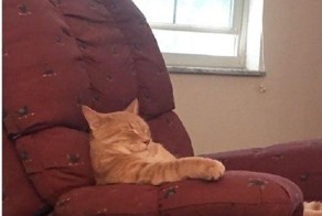 Очередная порция картинок с подписями