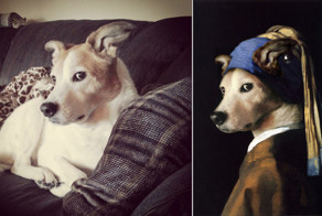 Когда у пса есть имиджмейкер