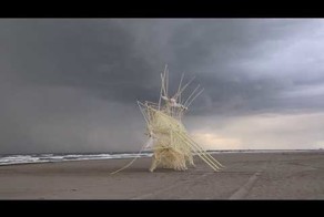 Сухопутные шагающие парусники