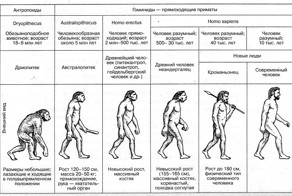 От обезьяны к человеку: десять шагов