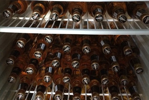 Вот что бывает, если оставить мужика наедине с холодильником всего на недельку