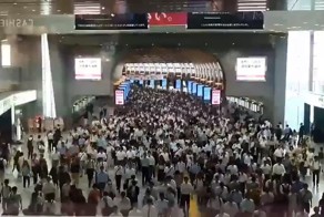 Поток людей в токийском метро