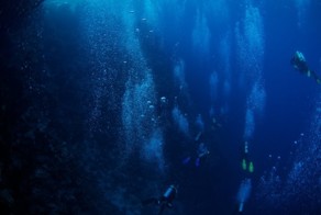 Удивительные глубоководные создания: фотоотчет экспедиции NOAA