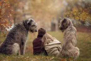 Животные, которые могут нас спасти: как собаки и кошки лечат болезни