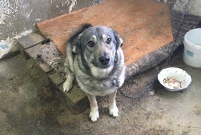 Дневник Умки: спасение из усыпалки