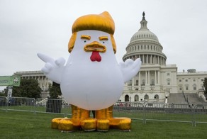 Перед Белым домом появился надувной цыпленок-Трамп