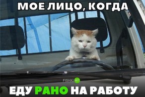 Подборка автомобильных приколов