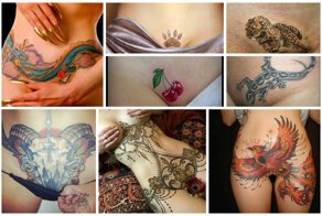 Причешите вашу киску, уложите шерстку гладко, нарисуйте ей рисунок, пусть порадуется тоже