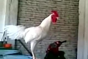 Подборка кубиков