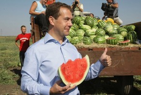 Как выбрать лучший арбуз и съесть его необычно