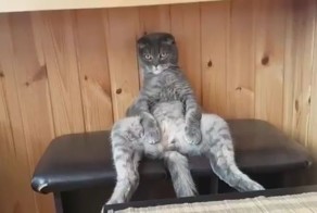 Только суши могут оторвать от субботнего отдыха 