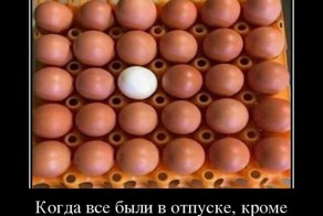 Свежая подборка демотиваторов, которые поднимут вам настроение