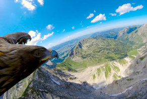 Альпы глазами орла
