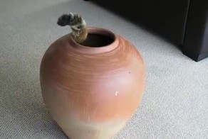 Подборка кубиков