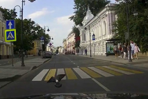 Автоподстава от голубя