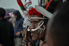 Муздыбулызм головного мозга