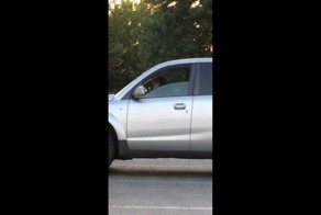 Нетерпеливая собака в машине жала на гудок, чтобы хозяйка быстрее вернулась из магазина