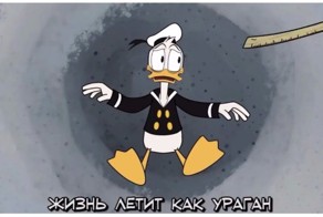 «Утиные истории» в реальной жизни
