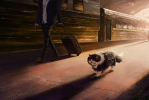 Кот-путешественник, или долгая дорога домой
