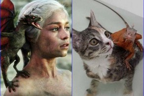 26 кошек, страшно похожих на героев "Игры престолов"