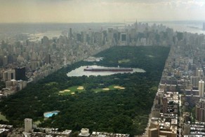 Гиганты в сравнении