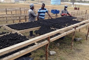 Не всё дерево, что горит