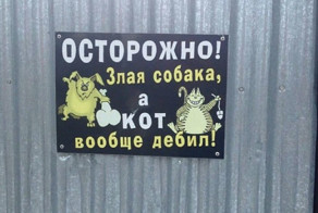 Субботняя подборка