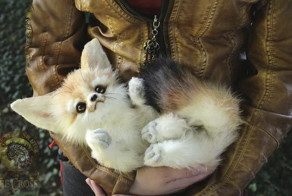 Девушка создает невероятные игрушки ручной работы