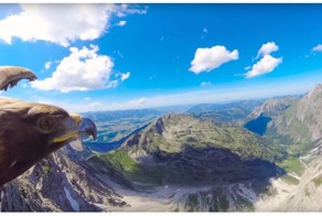 Настоящая свобода: как выглядят Альпы глазами орла