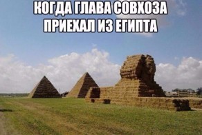 Сельский колорит: технологии будущего в российских деревнях