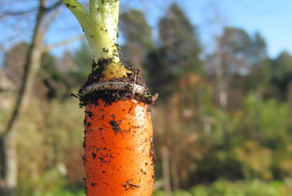 30 потрясающих историй о том, как потерянные вещи вернулись к владельцам