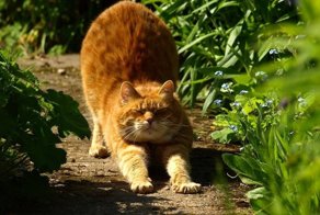 Чистый отдых для мозга без политики