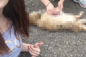 Суд вынес приговор хабаровским живодерам