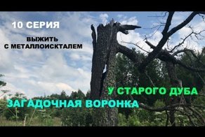Загадочная воронка в лесу и редкая находка!