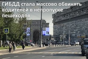 Козлы у дороги