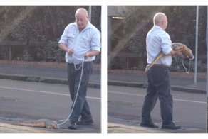 Если твой домашний питомец - крокодил