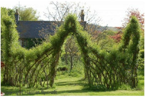 Заплетенные плетенки для очень терпеливых садоводов