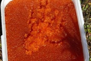 Уничтожение красной икры на Камчатке
