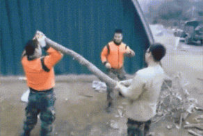 Лучшие гифки недели