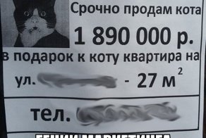 Смешные картинки с надписями