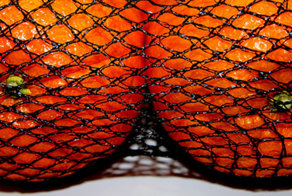 Тест на определение сексуальной ориентации по вашей Facebook-ленте