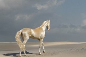 Самые дорогие домашние питомцы в мире. На этих питомцах можно разориться