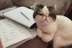 Скоро это ждёт всех школьников страны