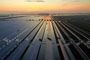 Как выглядят настоящие солнечные фермы