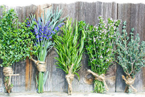 Растения-обереги у славян