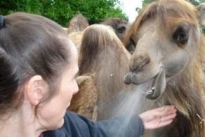 Спасибо, что это случилось не с нами: 25 эпичных фейлов
