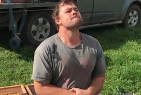 Новозеландский пчеловод на спор просидел 30 секунд на улье без трусов