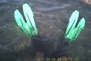 Немного черноморского дна