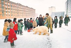 Своя среди чужих. История медведицы, считавшей людей своей семьёй